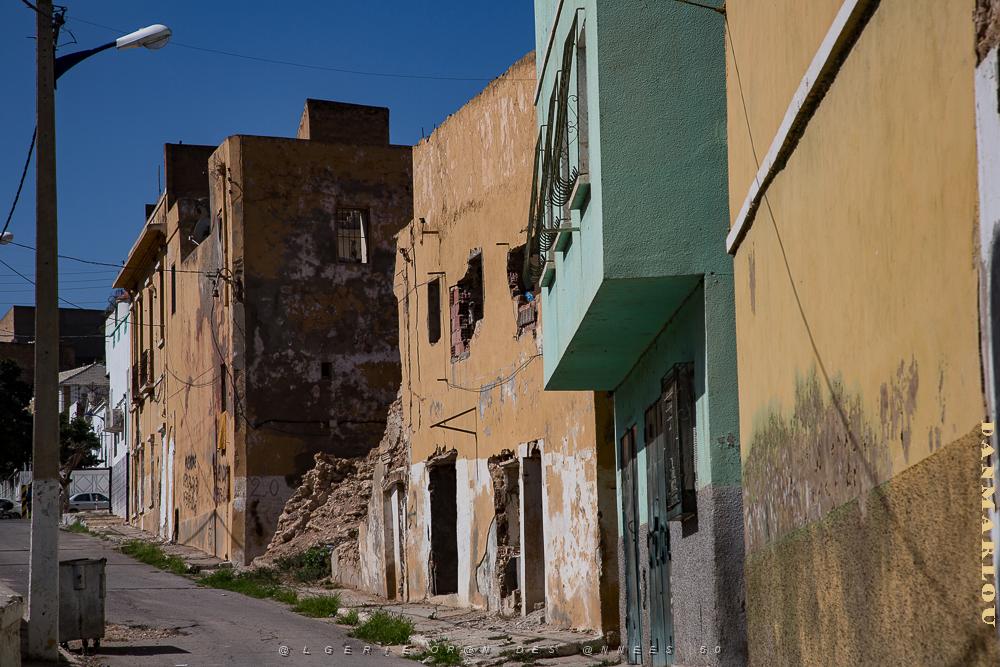 Oranie 2017-525.jpg